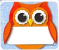 Colorful Owl Name Tags (Novelty book)