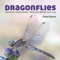 Dragonflies: Catching - Identifying - How and Where They Live (Paperback)