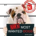 Cia's Most Wanted Dogs (Hardcover)