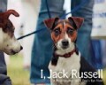 I, Jack Russell: A Photographer and a Dog's Eye View (Hardcover)