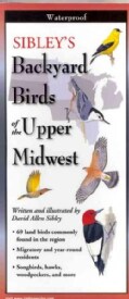 Sibley's Backyard Birds of the Upper Midwest (Wallchart)