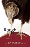 Rough Likeness: Essays (Paperback)