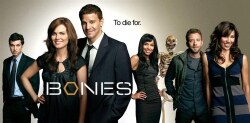 Bones Season 4 (DVD)