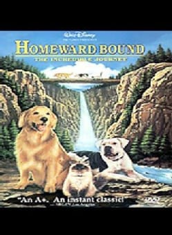 Homeward Bound (DVD)
