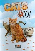 Cats 101 (DVD)