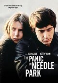 Panic In Needle Park (DVD)