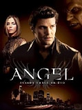 Angel Season 3 (DVD)