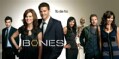 Bones Season 4 (DVD)