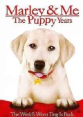Marley & Me: The Puppy Years (DVD)