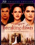 The Twilight Saga: Breaking Dawn Part 1 (Special Edition) (Blu-ray Disc)