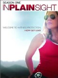 In Plain Sight: Season One (DVD)