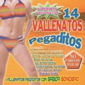 Various - 14 Vallenatos Pegaditos