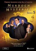 Murdoch Mysteries Collection: Season 5 (DVD)