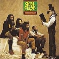 Steel Pulse - True Democracy
