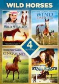 4-Film Wild Horses (DVD)