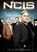 NCIS: The Seventh Season (DVD)