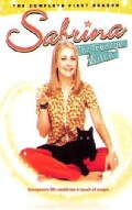 Sabrina, the Teenage Witch: The Complete First Season (DVD)