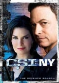 CSI: NY: The Complete Seventh Season (DVD)