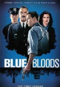 Blue Bloods: The First Season (DVD)