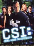 CSI: Crime Scene Investigation: Complete Second Season (DVD)