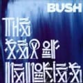 Bush - The Sea of Memories