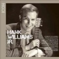 Hank Jr. Williams - Icon: Hank Williams Jr.