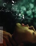 In The Realm Of The Senses (DVD)