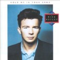 Rick Astley - Hold Me In Your Arms