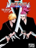Bleach Box Set 2: The Entry (Uncut) (DVD)