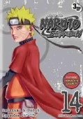 Naruto Shippuden Box Set 14 (DVD)