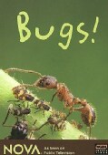 Bugs! (DVD)