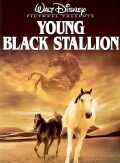 The Young Black Stallion (DVD)