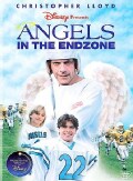 Angels In The Endzone (DVD)