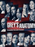 Grey's Anatomy: Season 7 (DVD)