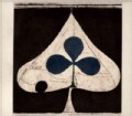 Grizzly Bear - Shields