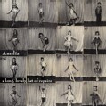 Amelia - A Long, Lovely List of Repairs