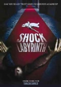 Shock Labyrinth 3D (DVD)