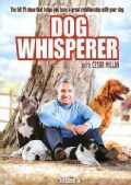 Dog Whisperer With Cesar Millan: Season 5 (DVD)