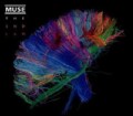 Muse - 2nd Law