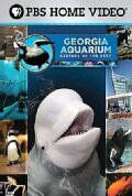 GEORGIA AQUARIUM-KEEPERS OF THE DEEP