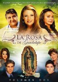 La Rosa De Guadalupe Vol 2 (DVD)