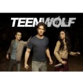 Teen Wolf Season 2 (DVD)