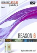Reason 6: Beginner/Intermediate Levels (DVD)