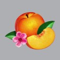 Phoenix - Bankrupt!
