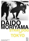 Daido Moriyama: Stray Dog of Tokyo (New People Artist Series Volume 3) (DVD)