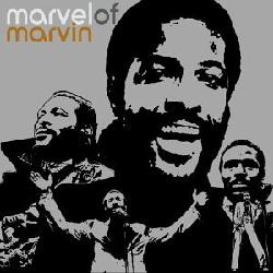 Various Artists - Marvel Of Marvin