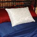 Antimicrobial Stain Protective Pillow with Zipcover