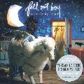 Fall Out Boy - Infinity On High (+Bonus Track) [Import]