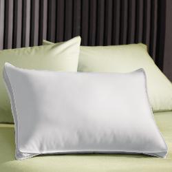 Extra Loft 1000 Thread Count Gusseted Pillow (Set of 2)
