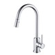 Rivuss Brunei Polished Chrome Single Lever Solid Brass Pull-down Kitchen Faucet